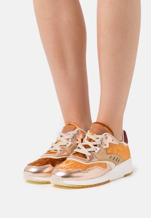 Scotch & Soda VIVI - Trainers - brown/multicolor