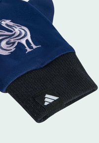 adidas Performance Rukavice - dark blue powder plum