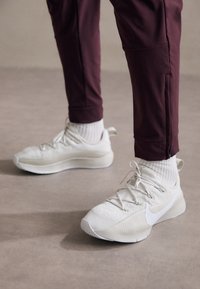 LEBRON TR 1 - Træningssko - phantom/white/light bone