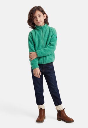 POLAR UNISEX - Φλις μπουφάν - green