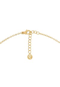 Kuldne käevõru, millel on purjehõnguga klamber, reguleeritav pikkus ümmarguste linkide abil ja väike talisman, millel on eriline sümbol.