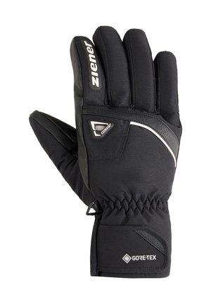 Black winter gloves made of synthetic fabric and leather, featuring a textured finish, elastic cuff, and GORE-TEX branding for waterproof protection.