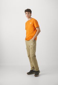 The North Face BOX CELEBRATION TEE - Triko s potiskem - desert rust