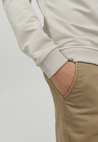 Jack & Jones Junior JCOFILO  CREW NECK SN JNR - Felpa - moonbeam
