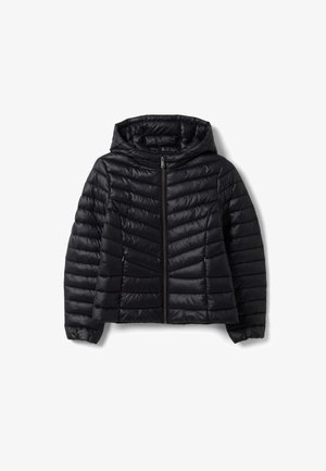 OVS, JACKET WITH HOOD AND ZIP - Winterjas - black