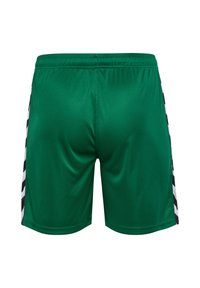 Gröna sportshorts med en slät yta, med svarta och vita randiga detaljer på varje sida. Elastisk midja för komfort.