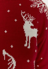 Rode gebreide trui met witte rendieren en sneeuwvlokpatronen, met een gestructureerde afwerking en gevarieerde stekendetails.