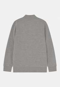 Grijze sweatshirt met een hoge kraag, ribbelmanchetten en -zoom. Het materiaal lijkt zacht en soepel, met een minimalistisch ontwerp en geen extra details.