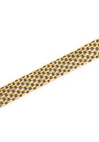 Catena in metallo tono oro con anelli ovali e rettangolari interconnessi, caratterizzata da una texture liscia e un motivo continuo.
