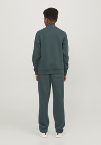 Jack & Jones Junior JORVESTERBRO QUARTER ZIP - Sweatshirt - magical forest