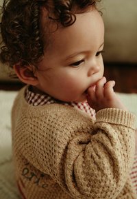 Next REGULAR FIT - Cardigan - tan brown cherry embroidered