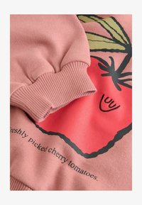 Unselected, pink brown tomato