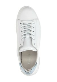 White leather sneaker with flat laces, textured light blue accent on the heel, and a smooth surface featuring subtle branding on the insole.