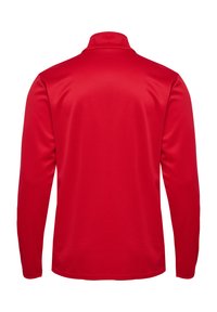Rotes langärmliges Poloshirt mit Stehkragen. Glattes, leichtes Gewebe. Verfügt über einen geraden Saum und eng anliegende Ärmel. Rückansicht sichtbar.