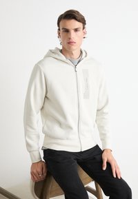 Calvin Klein HORIZONTAL LOGO ZIP THRU HOODIE - Mikina so zipsom - silver birch