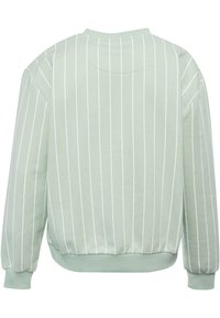 Light green, long-sleeve sweatshirt with white vertical stripes, a rounded neckline, and ribbed cuffs and hem. Smooth cotton blend fabric.