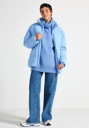 JINA - Vinterjakker - light dusty blue