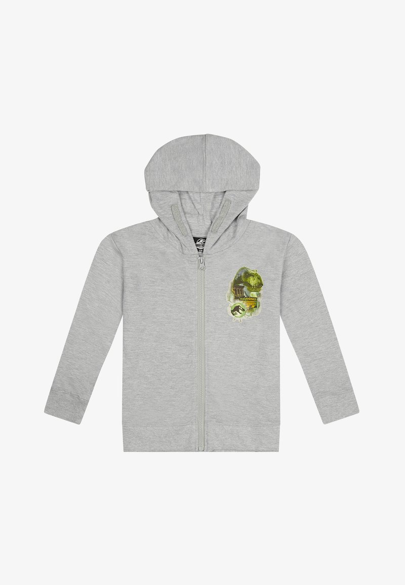 Felpa grigia con zip e cappuccio, maniche lunghe e una grafica di un dinosauro con accenti verdi sulla zona del petto. Materiale in cotone morbido.