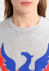Camiseta de algodón gris con un vibrante gráfico de un fénix azul y rojo, cuello redondo acanalado y una textura suave y lisa.