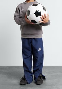 Sudadera gris, pantalones de chándal azul marino y zapatillas negras. Un niño sostiene una pelota de fútbol en blanco y negro. Logos de Adidas en la ropa.