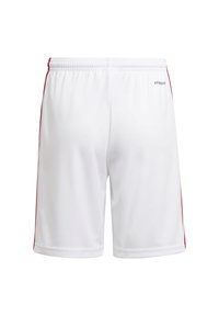 adidas Performance SQUADRA 21 Y - Träningsshorts - white