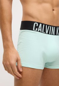 Mėtų žalios medvilnės boxeriai su juodu elastingu juosmeniu, kuriame balta spalva užrašyta "CALVIN KLEIN" logo. Minkšta tekstūra, prigludęs dizainas.