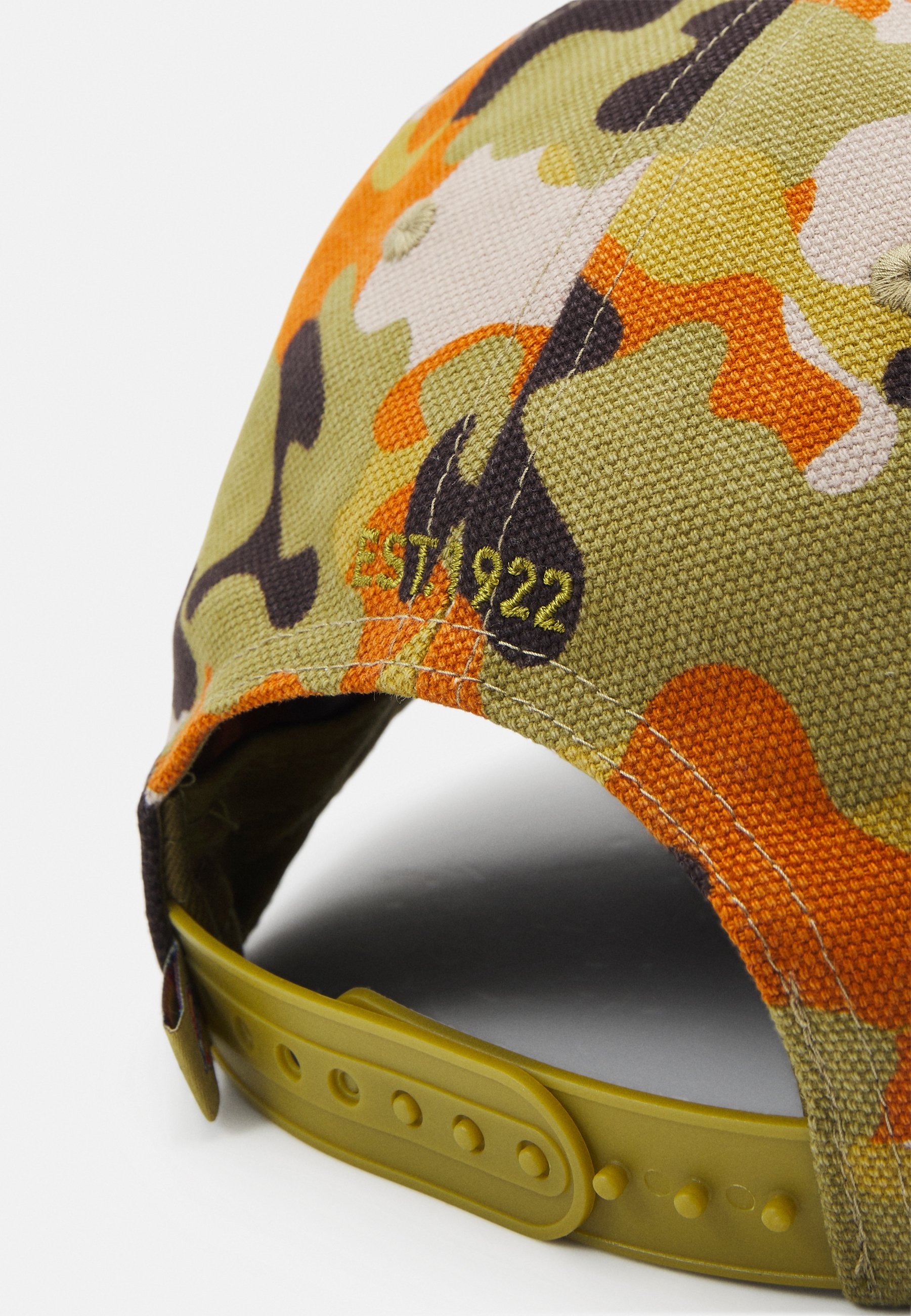 Dickies ARTONODALE UNISEX - Cap 