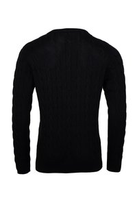Black cable-knit sweater featuring a crew neckline and long sleeves. Made from a textured knit material, showcasing a braided pattern.