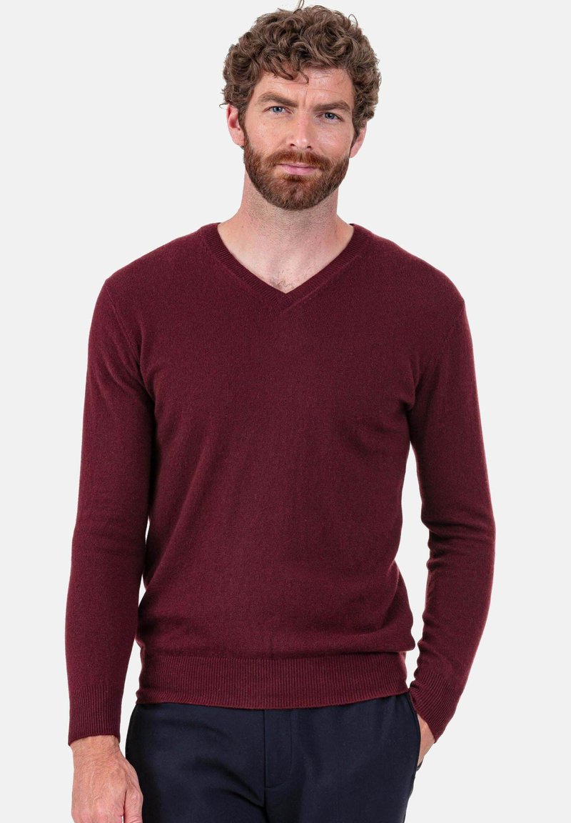 Burgundy v-neck sweater with long sleeves; soft texture; ribbed hem and cuffs; worn with dark trousers.