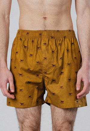 Nahaufnahme eines Mannes, der senfgelbe Boxershorts mit kleinem Hundemuster und elastischem Bund trägt und mit entspannten Armen an den Seiten steht.