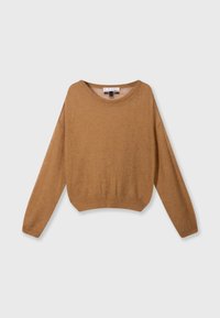 Pull en laine marron, design court, col rond, manches longues, texture douce, ourlet et poignets côtelés, détails minimalistes, étiquette suspendue visible.
