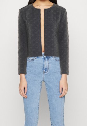 Vrouw met een donkergekleurde, gestructureerde, openvallende jas met lange mouwen, gecombineerd met een lichtblauwe broek met hoge taille, staand tegen een effen achtergrond.