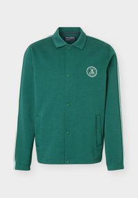 Επιλέχθηκε, ivy green