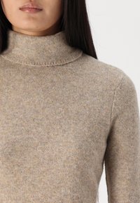 Abercrombie & Fitch SLIM CURLY TURTLE NECK - Džemperis - brown
