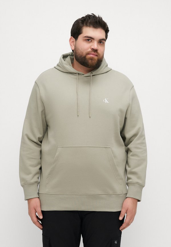 PLUS PAINTED HOODIE - Sweatshirt - laurel oak3