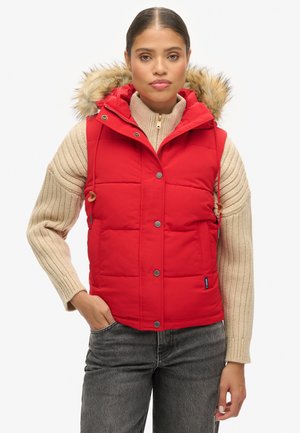 Superdry & Co EVEREST   - Weste - varsity red