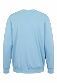 Vaaleansininen collegepaita pyöreällä pääntiellä, pitkissä hihoissa ja resorimitattuna hihansuissa. Sileä pinta ja joustava vyötärönauha, yksinkertainen muotoilu ilman kuvioita.