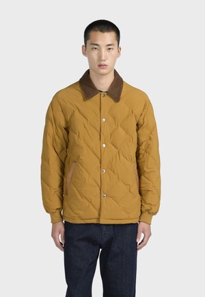 GLENEVIS - Jas - mustard