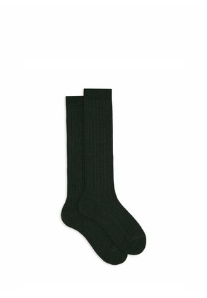 LUNGHE  UNITA - Kniestrümpfe - green