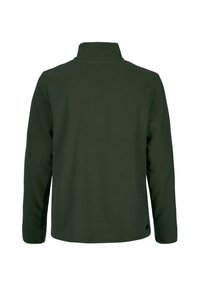 Zelený fleecový pulóver s vysokým golierom a dlhými rukávmi. Má plochú štruktúru a jemnú značkovú nálepku na leme. Zobrazený zadný pohľad.