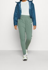 The North Face Tracksuit bottoms - green