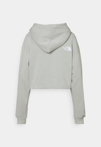 Sweat à capuche gris clair coupé, manches longues et capuche, avec un petit logo blanc "The North Face" sur le haut du dos à droite.