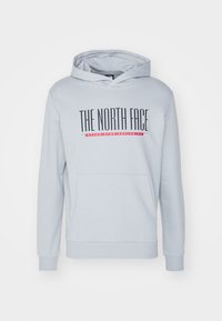 Sudadera gris claro con bolsillo frontal, mangas largas y el logo de "THE NORTH FACE" encima del texto rojo "NEVER STOP EXPLORING" en el pecho.