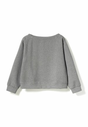 Grijze sweatshirt met lange mouwen, ronde hals en geribbelde manchetten. Zachte stof, cropped ontwerp en minimale stikdetails.