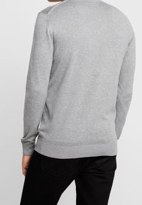 Grauer Strickpullover mit langen Ärmeln, gerippten Bündchen und Saum, der eine glatte Textur bietet. Trägt man mit schwarzen Jeans, was die Rückansicht zeigt.