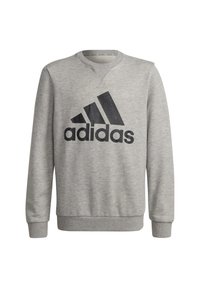 adidas Performance Sudadera - grey