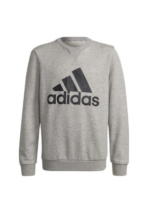 Sweatshirt - grey