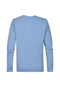 Felpa azzurra chiara con maniche lunghe, scollo rotondo e polsini a costine. Tessuto liscio con una vestibilità casual, senza motivi o grafiche visibili.