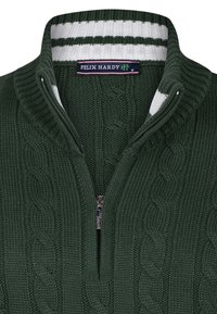 Dunkelgrüner Strickpullover mit Reißverschlusskragen, der weiße und grüne Streifen am inneren Kragen hat. Markenschild sichtbar.