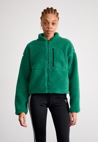 The North Face W EXTREME PILE 2 FZ JACKET - Fliisjakk - evergreen/black